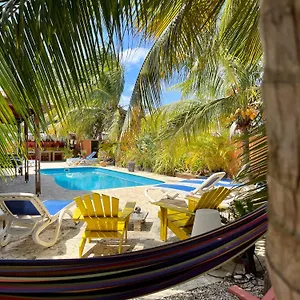 Guest house Oasis Guesthouse, Boutique Style, Kralendijk (Bonaire)